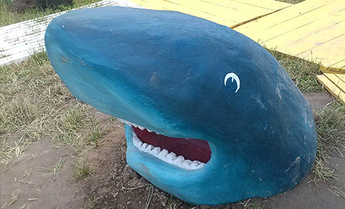 Агро выставка синяя акула