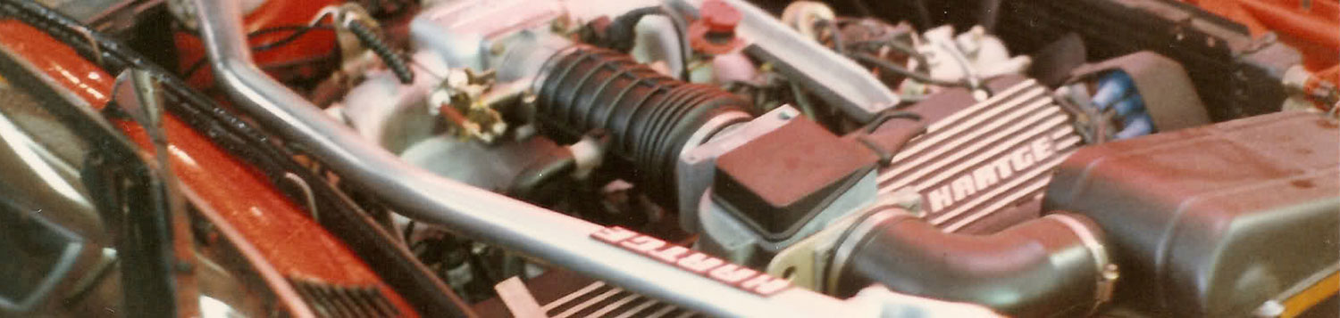 Hartge E30 двигатель