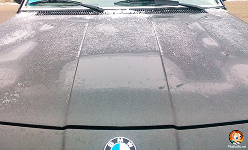 Мокрый нос BMW